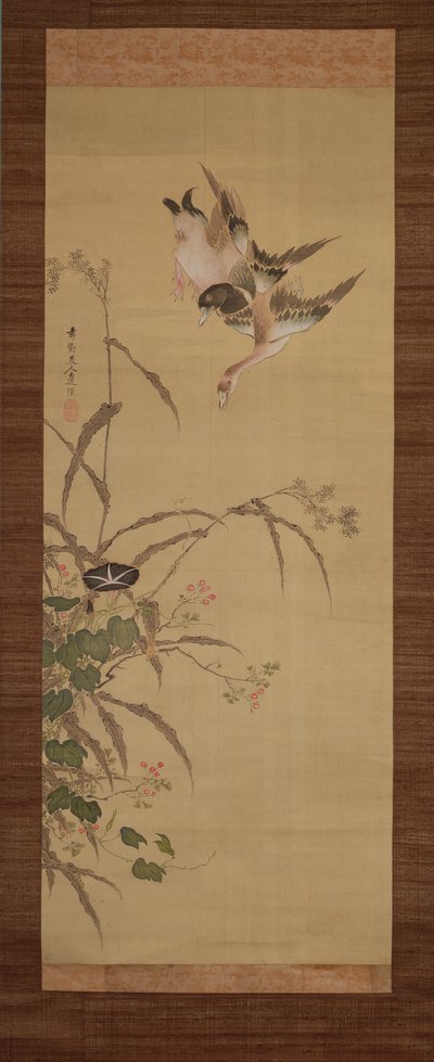 Canards, fleurs et herbes, c.1800-22 - Gentai Sanjin